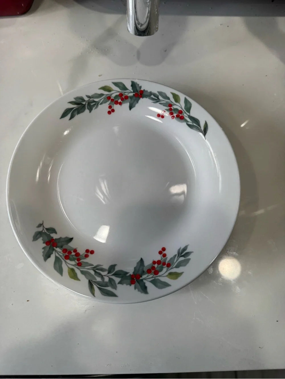 Festive Red Berry Porcelain Dinner Bowl